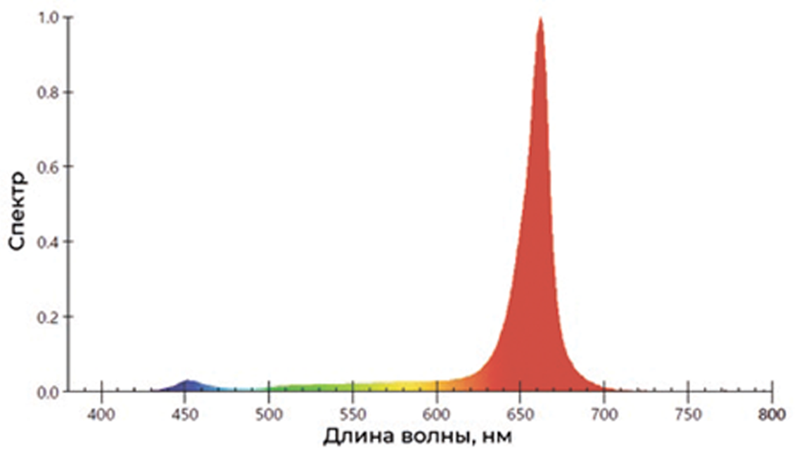 Розы Розы (cпектр PHYTO 01)<br>Эффективность, (мкмоль/с)/Вт: 3,5